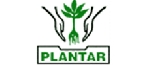 Plantar